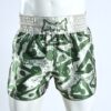 Muay Thai Shorts