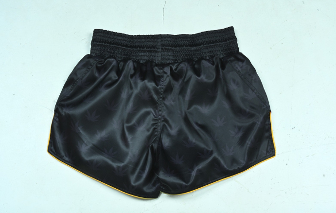 Impact/Birch Muay Thai Shorts - Image 3